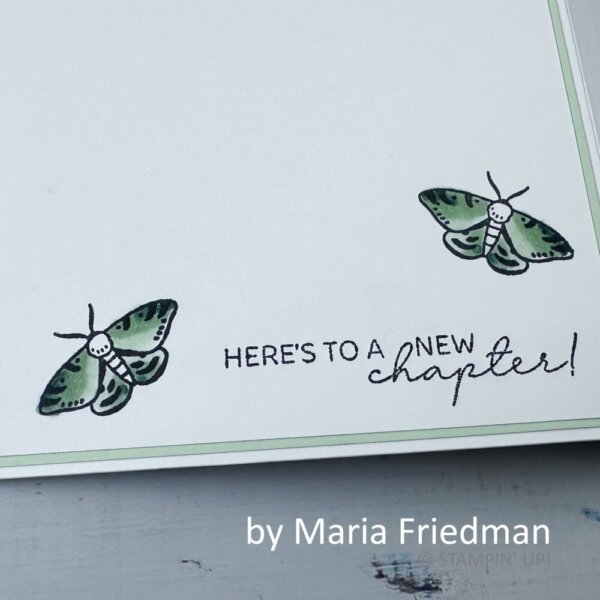 by Maria Friedman, Fern & Flora Bundle, Moonlit Flora Designer Series Paper, Sincere Salutations, Stampin' Up!