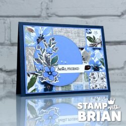 Delicate Dreams Bundle, Exciting Times Bundle, Stampin' Up!, Brian King
