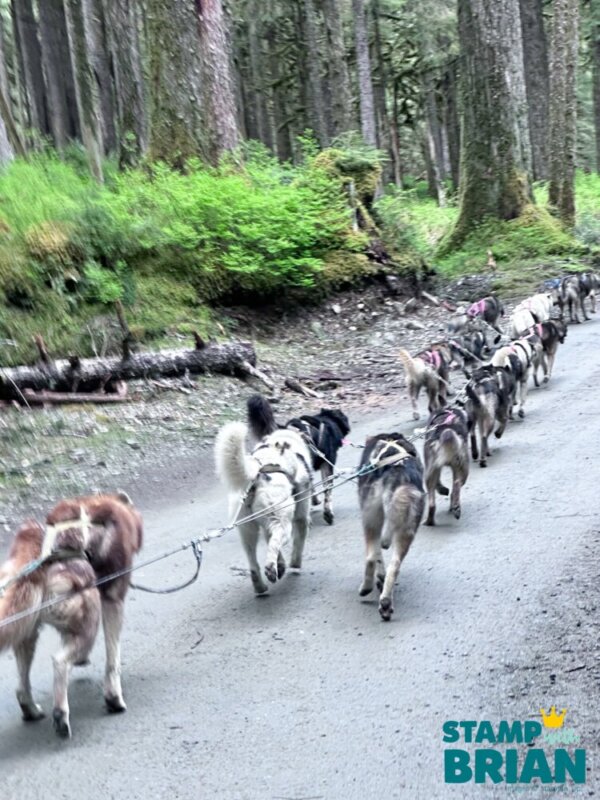 Musher Camp, Stampin' Up!'s 2026 Alaska Incentive Trip