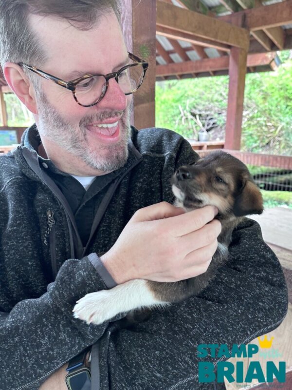 Musher Camp weeks-old puppies, Stampin' Up!'s 2026 Alaska Incentive Trip