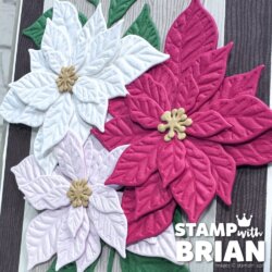 Pretty Poinsettia Bundle, Wood Grain Wonder Designer Series Paper, Stampin' Up!, Brian King