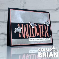 Web of Fun Bundle, Fun for Fall Bundle, Stampin' Up!, Brian King, Halloween card