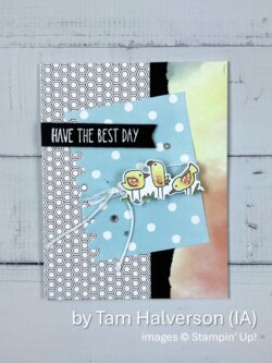 by Tam Halverson, Summer 2026 One-for-One Card Swap, Stampin' Up!